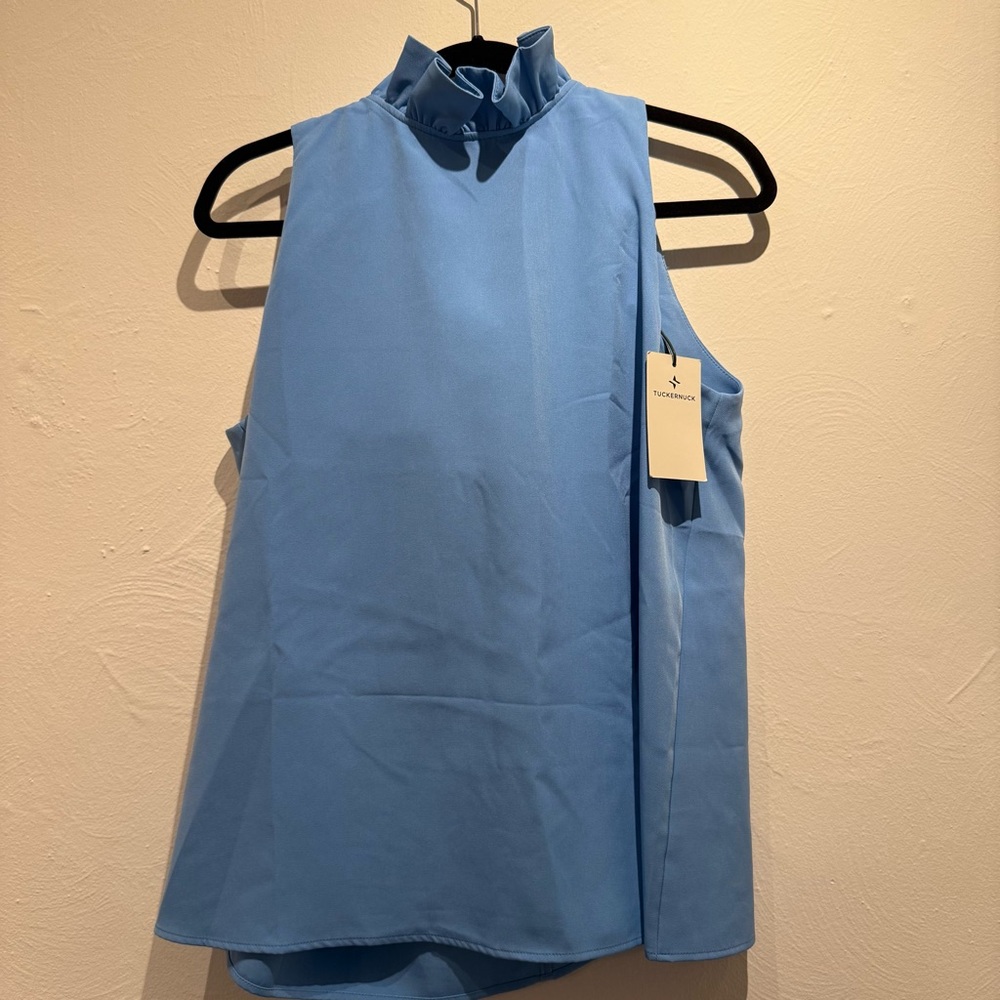 Tuckernuck Blue Sleeveless Ruffle Blouse | Mason Top